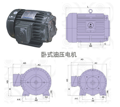 如何選擇高效穩(wěn)定的油泵電機(jī)？從價(jià)格到性能的全方位解析
